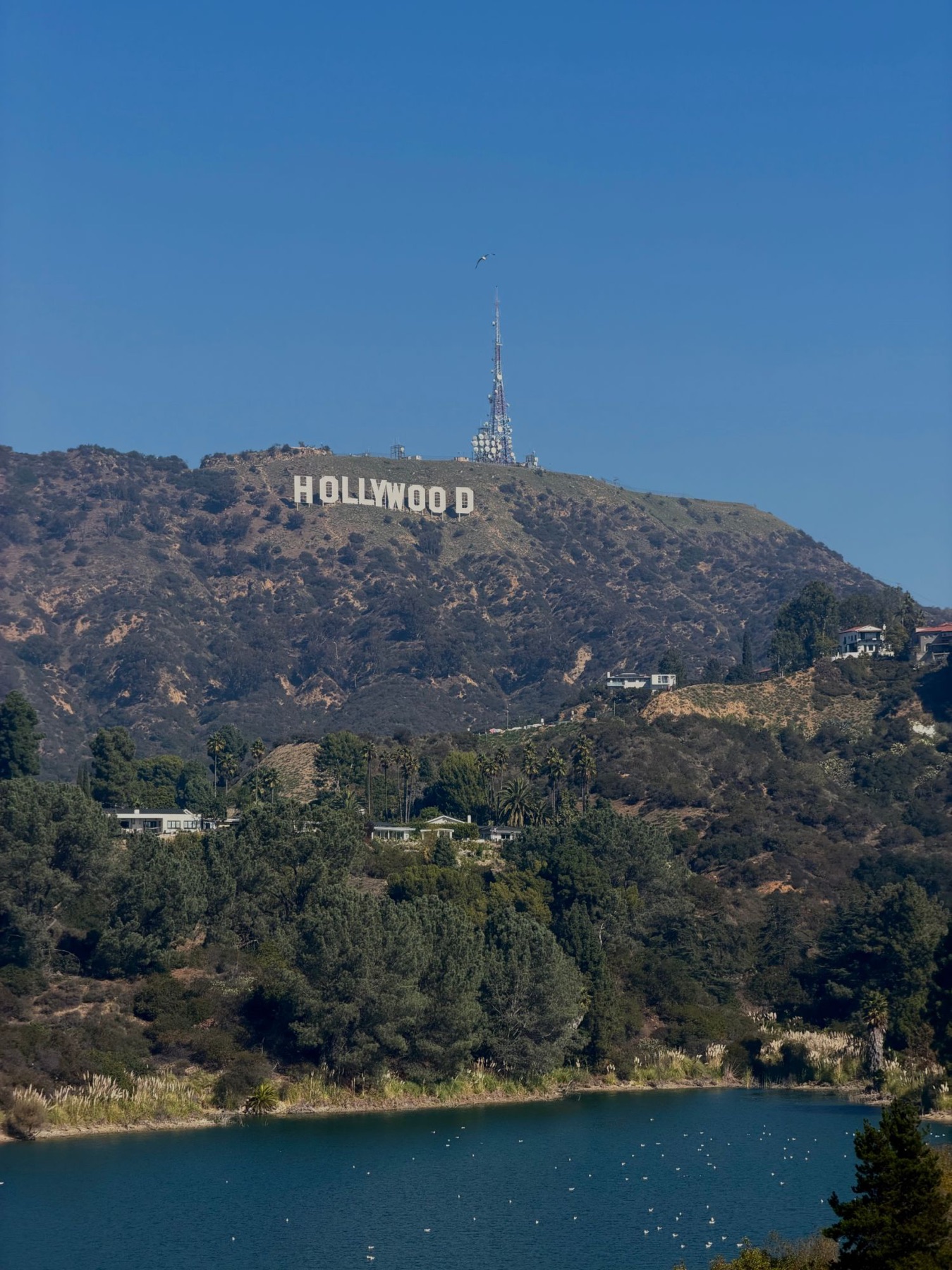 Hollywood