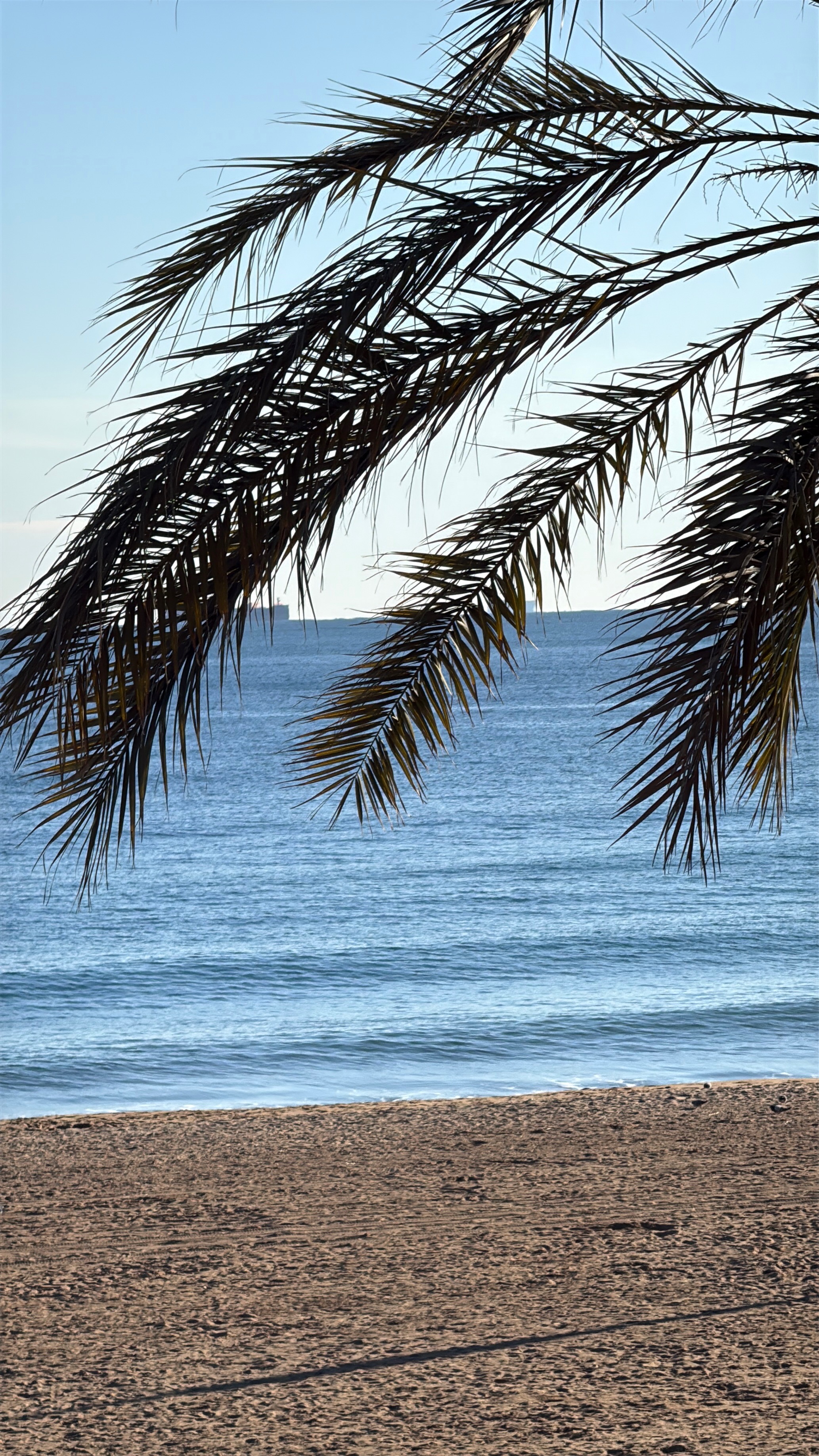 Three Days in Mallorca: The Island That Surprises You
